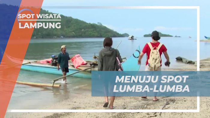 Menaiki Perahu Menuju Spot Lumba-lumba di Teluk Kiluan, Lampung