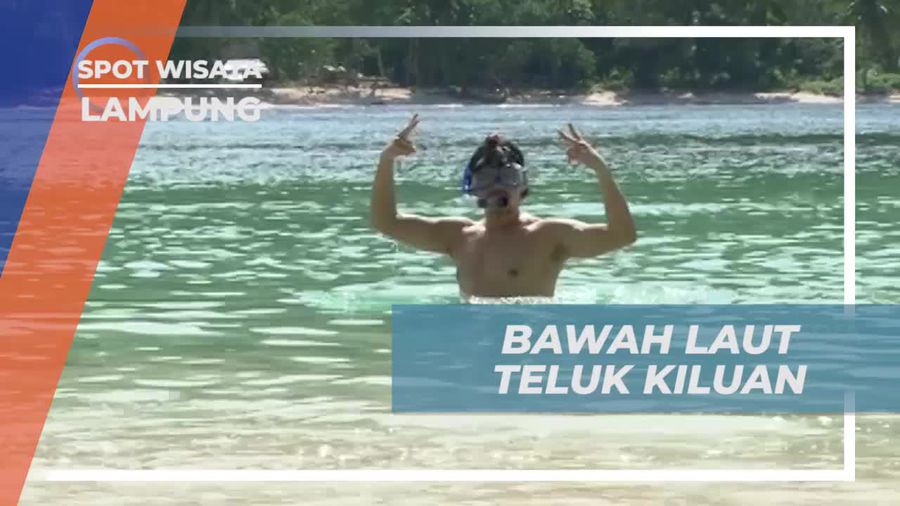 Menyelami Keindahan Bawah Laut Pulau Kiluan di Lampung