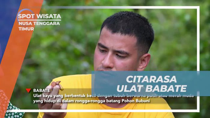 Menikmati cita rasa Ulat Babate Bersama Warga di Nusa Tenggara Timur
