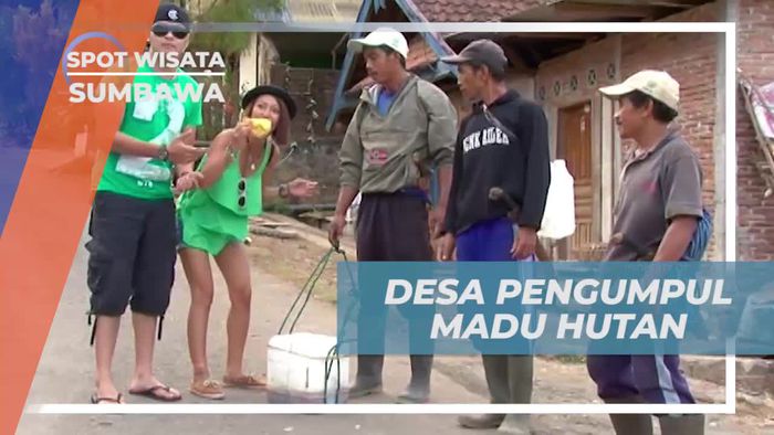 Menjelajahi Desa Pengumpul Madu Hutan di Sumbawa