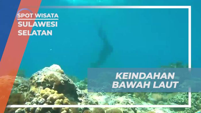 Menari di Bawah Laut yang Indah di Pulau Kambing, Sulawesi Selatan