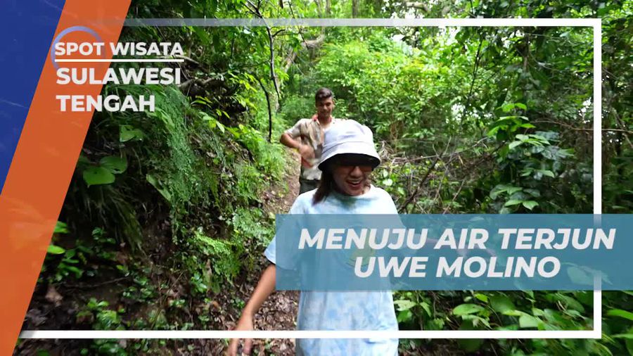 Menelusuri Keindahan Air Terjun Uwe Molino di Sulawesi Tengah