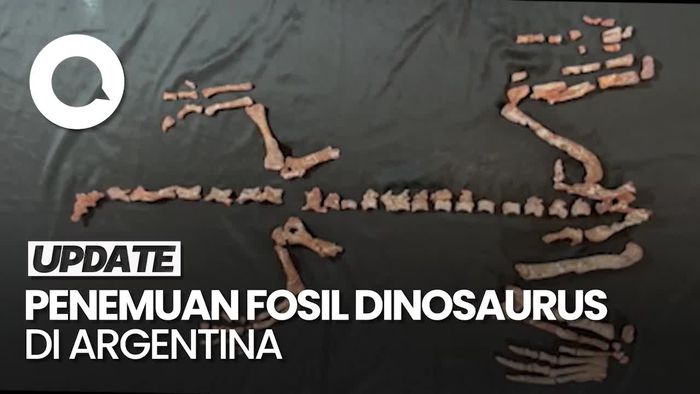 Video: Paleontolog Temukan Fosil Dinosaurus yang Hidup 230 Juta Tahun Lalu