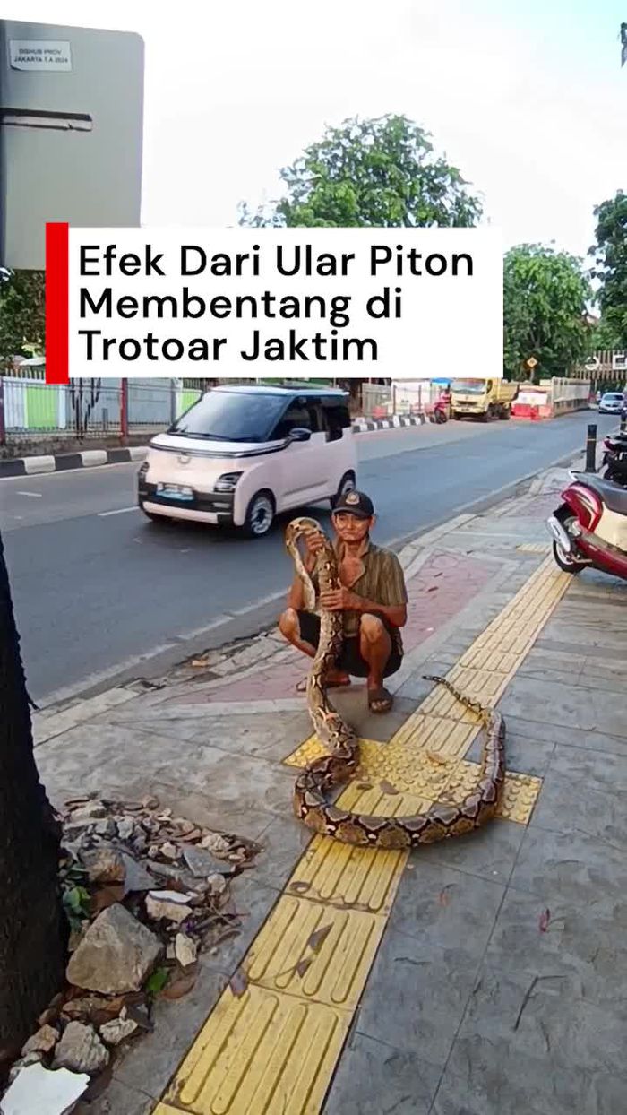 Video: Lansia Pembentang Ular di Jaktim Sebut Motor Tak Lagi Naik Trotoar