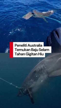 Video: Peneliti Australia Uji Coba Bahan Baju Selam Tahan Gigitan Hiu