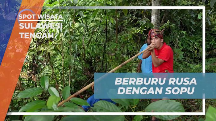Rasakan Petualangan Berburu Rusa Menggunakan Sopu di Sulawesi Tengah