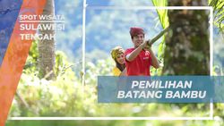 Temukan Bambu Terbaik untuk Membangun Rumah di Sulawesi Tengah Temukan Bambu Terbaik untuk Membangun Rumah di Sulawesi Tengah