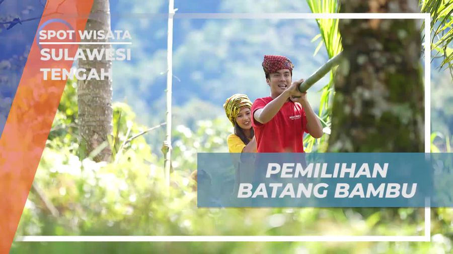 Temukan Bambu Terbaik untuk Membangun Rumah di Sulawesi Tengah