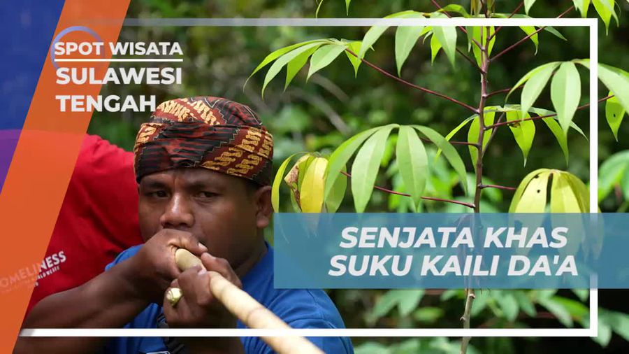 Temukan Senjata Khas Suku Kaili Daa di Sulawesi Tengah