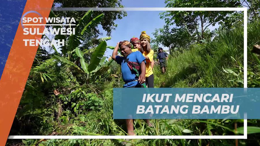Bergabung dalam Pencarian Batang Bambu di Sulawesi Tengah