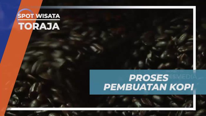 Menyelami Proses Pembuatan Kopi Toraja yang Ternama