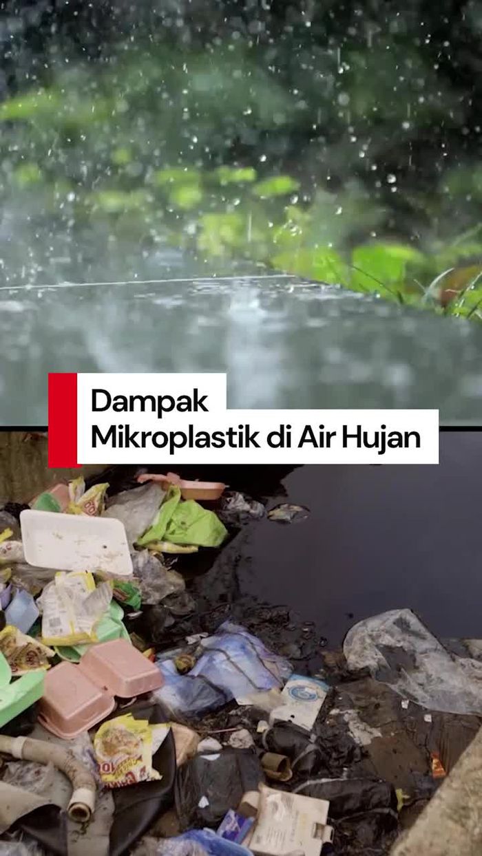 Video: BRIN Bicara Dampak Mikroplastik di Air Hujan