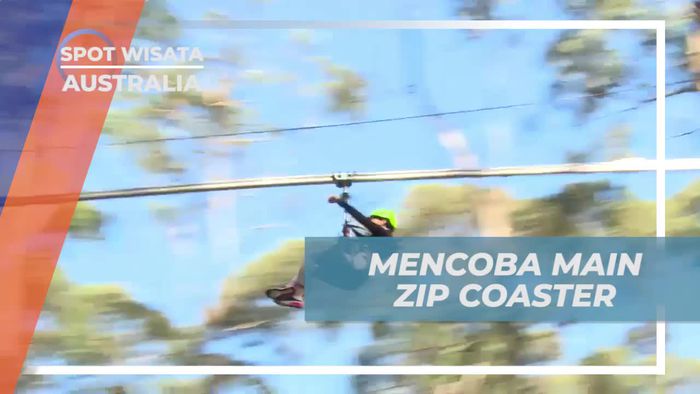 Cobalah Sensasi Zip Coaster yang Menggetarkan di Live Wire Park, Australia