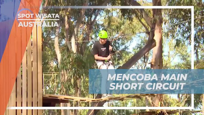 Rasakan Tantangan di Short Circuit, Live Wire Park, Australia