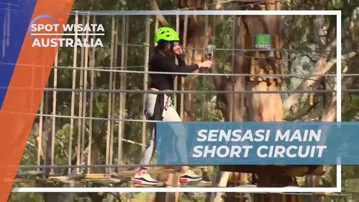 Nikmati Sensasi Berpetualang di Live Wire Park, Australia