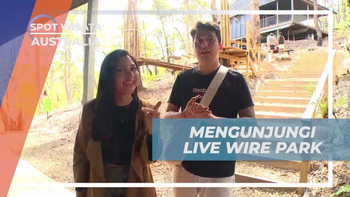Explorasi Seru di Live Wire Park, Australia