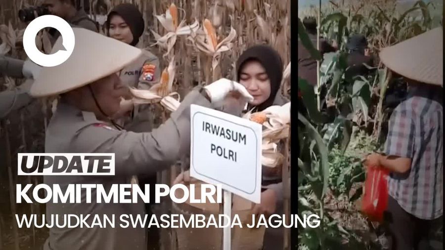 Video: Capaian Polri dalam Setahun Pemerintahan Prabowo di Sektor Pangan