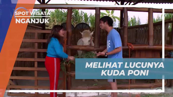Temui Kuda Poni Lucu di Selo Park, Nganjuk