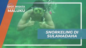 Snorkeling Menyusuri Keindahan Laut di Pantai Sulamadaha, Maluku