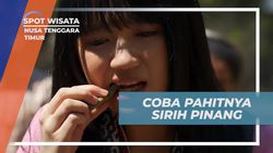 Cicipi Pahitnya Sirih Pinang Bersama Suku Boti, Nusa Tenggara Timur Cicipi Pahitnya Sirih Pinang Bersama Suku Boti, Nusa Tenggara Timur