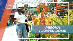 Mengagumi Keindahan Flower Dome, Singapura