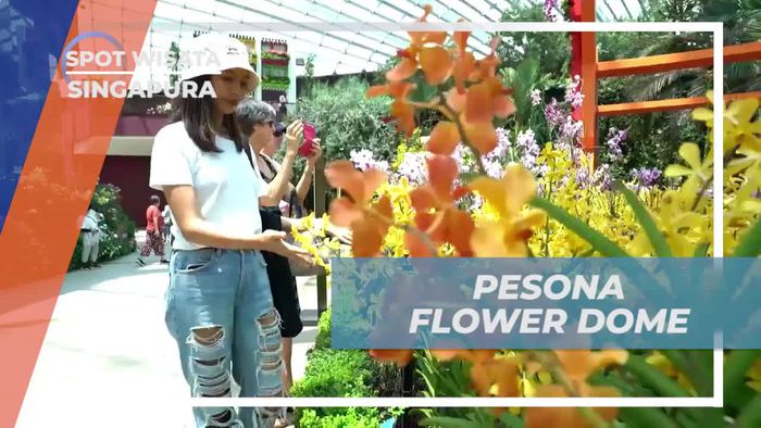 Mengagumi Keindahan Flower Dome, Singapura