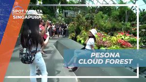 Menikmati Pesona Cloud Forest, Singapura
