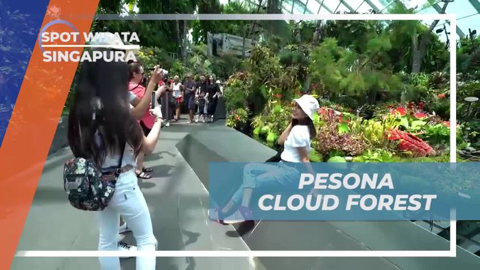 Menikmati Pesona Cloud Forest, Singapura