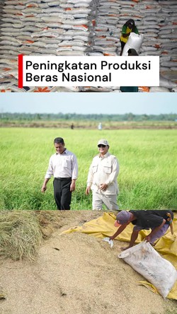 Video: Produksi Beras Nasional Tahun Ini Sudah 33,19 Juta Ton
