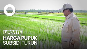Video: Prabowo Turunkan Harga Pupuk Subsidi 20%
