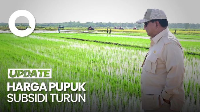Video: Prabowo Turunkan Harga Pupuk Subsidi 20%