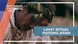 Mengamati Ritual Potong Ayam di Nusa Tenggara Timur