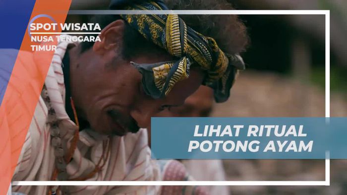Mengamati Ritual Potong Ayam di Nusa Tenggara Timur