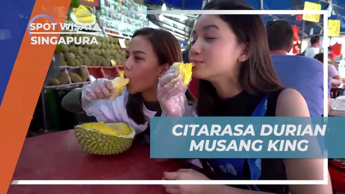 Mencicipi Keistimewaan Durian Musang King di Singapura