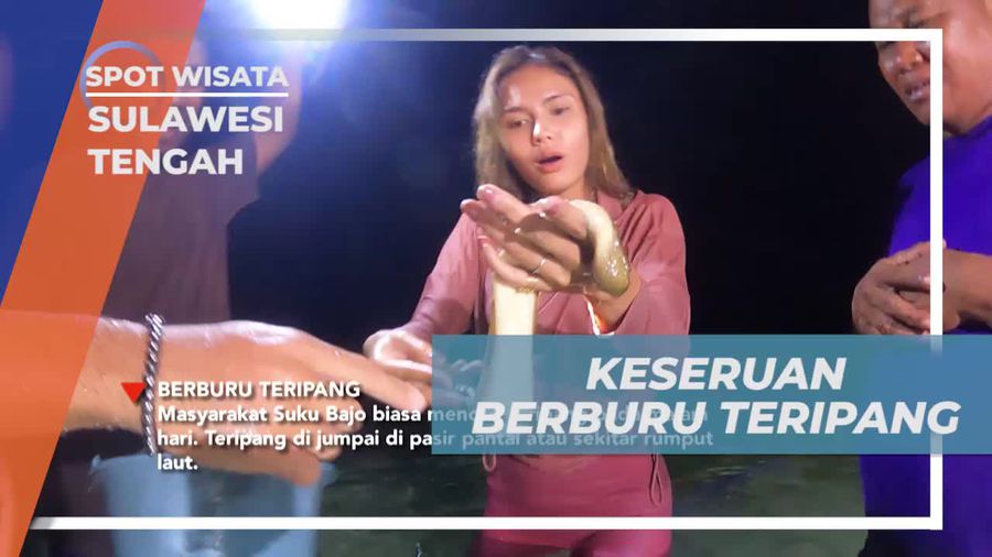 Menikmati Serunya Berburu Teripang Bersama Warga Suku Bajo, Sulawesi Tengah