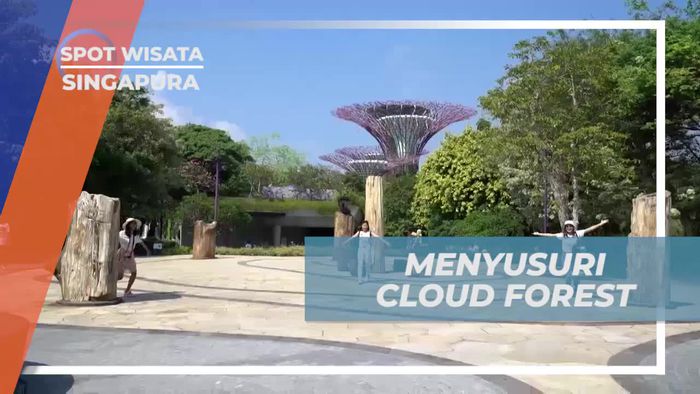 Menyusuri Indahnya Cloud Forest, Singapura