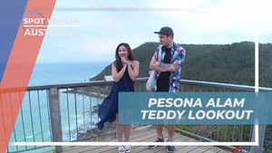 Menikmati Keindahan Alam Teddy Lookout, Australia