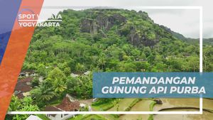 Menikmati Keindahan Gunung Api Purba di Desa Kapek, Yogyakarta  