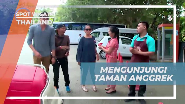 Mengunjungi Taman Anggrek Sai na phung Orchid di Thailand