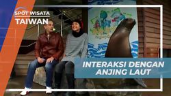 Berinteraksi Lucu dengan Anjing Laut di Farglory Ocean Park, Taiwan  