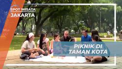 Menikmati Piknik Santai di Taman Suropati, Jakarta   Menikmati Piknik Santai di Taman Suropati, Jakarta