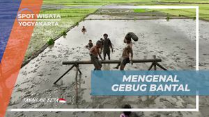Menyelami Asal Usul Permainan Tradisional Gebug Bantal di Yogyakarta  