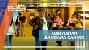 Menyusuri Keindahan Changi Airport Singapura sebelum Melanjutkan Perjalanan ke Vietnam  