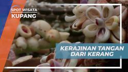  Mengumpulkan Kerajinan Tangan dari Kerang Laut sebagai Oleh-oleh di Kupang  