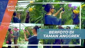 Berfoto di Taman Anggrek dan Menikmati Keindahan Berbagai Jenis Bunga di Thailand