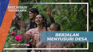 Berjalan Menyusuri Desa Pronosutan Yogyakarta dan Mencari Daun Kelor  