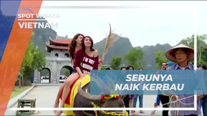 Mengikuti Pengalaman Naik Kerbau dan Jelajahi Alam Liar di Hoa Lu, Vietnam  