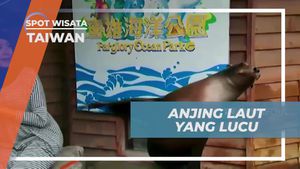 Menyaksikan Ikan Duyung Menggemaskan di Akuarium Farglory Ocean Park, Taiwan  