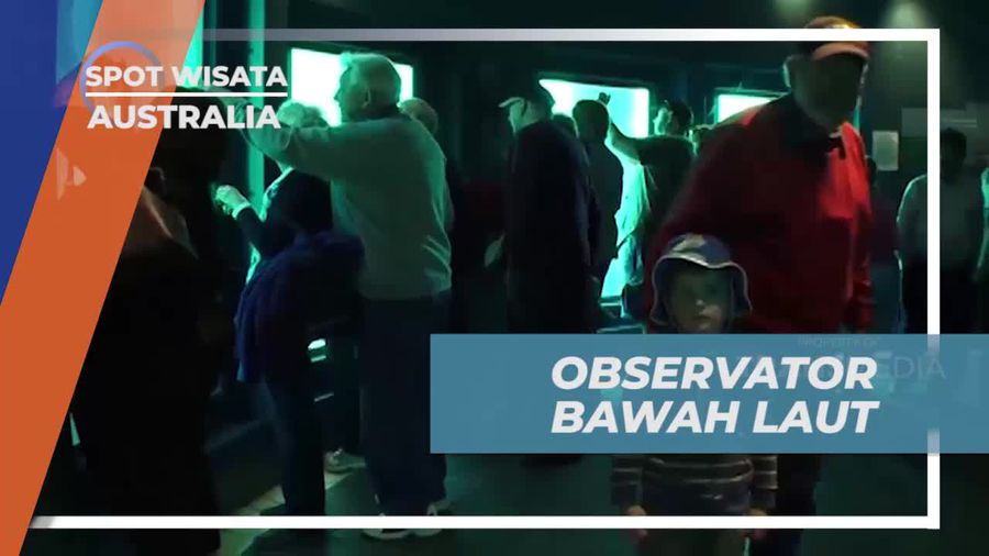 Melihat Keindahan Bawah Laut dari Observator di Busselton Jetty, Australia