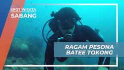 Menyaksikan Pesona Laut yang Mengagumkan di Batee Tokong, Sabang Menyaksikan Pesona Laut yang Mengagumkan di Batee Tokong, Sabang